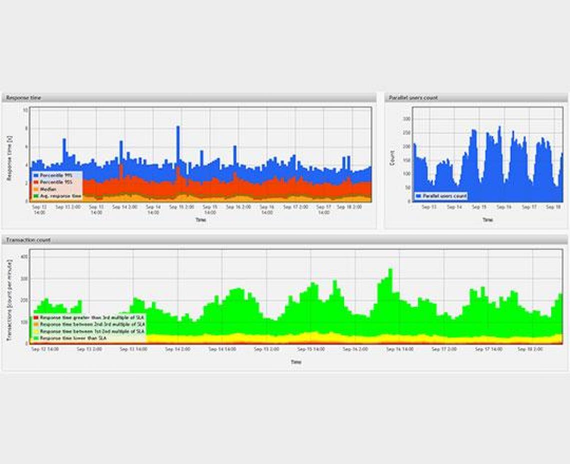Application Performance Monitoring (APM)